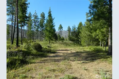 0 Tbd Stage Coach Trail, Riverside, WA 98849 - Photo 20