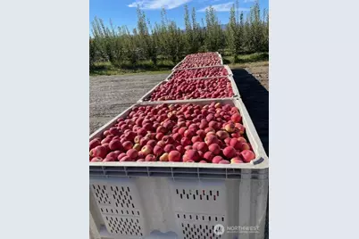 223 Old Riverside Hwy, Omak, WA 98841 - Photo 22