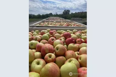 223 Old Riverside Hwy, Omak, WA 98841 - Photo 28