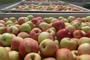 223 Old Riverside Hwy, Omak, WA 98841 - Photo 28