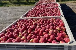 223 Old Riverside Hwy, Omak, WA 98841 - Photo 40