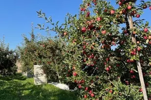 223 Old Riverside Hwy, Omak, WA 98841 - Photo 38