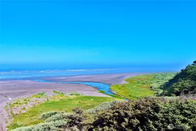 3 Roosevelt Beach Road, Pacific Beach, WA 98571 - Photo 1