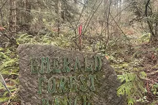 202 W Emerald Forest Ln, Sequim, WA 98382 - Photo 36