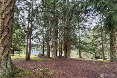 202 W Emerald Forest Lane, Sequim, WA 98382 - Photo 32