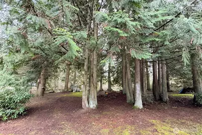 202 W Emerald Forest Lane, Sequim, WA 98382 - Photo 30