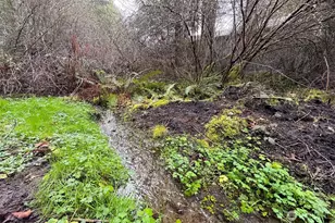 202 W Emerald Forest Ln, Sequim, WA 98382 - Photo 26