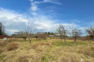 202 W Emerald Forest Ln, Sequim, WA 98382 - Photo 32