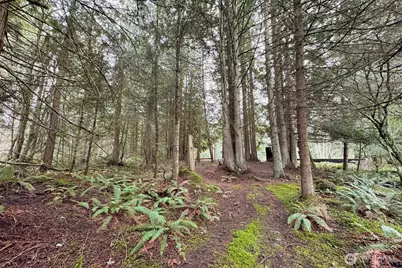 202 W Emerald Forest Lane, Sequim, WA 98382 - Photo 28