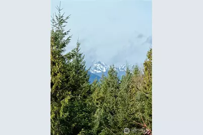 293 Blueberry Hill Drive, Quilcene, WA 98376 - Photo 2