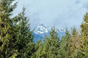 293 Blueberry Hill Dr, Quilcene, WA 98376 - Photo 2