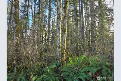 233 Xx State Highway 3 NW, Poulsbo, WA 98370 - Photo 34