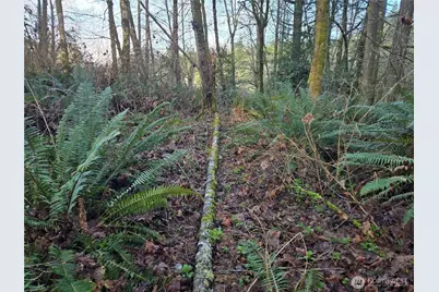 233 Xx State Highway 3 NW, Poulsbo, WA 98370 - Photo 22
