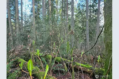 233 Xx State Highway 3 NW, Poulsbo, WA 98370 - Photo 20