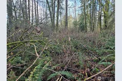 233 Xx State Highway 3 NW, Poulsbo, WA 98370 - Photo 20