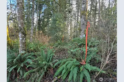 233 Xx State Highway 3 NW, Poulsbo, WA 98370 - Photo 32