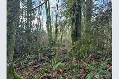 233 Xx State Highway 3 NW, Poulsbo, WA 98370 - Photo 2