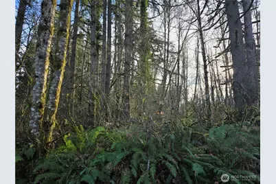 233 Xx State Highway 3 NW, Poulsbo, WA 98370 - Photo 34