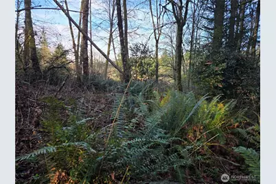 233 Xx State Highway 3 NW, Poulsbo, WA 98370 - Photo 26