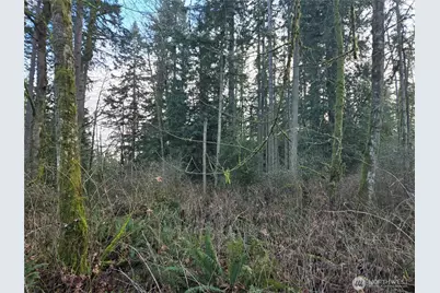 233 Xx State Highway 3 NW, Poulsbo, WA 98370 - Photo 12