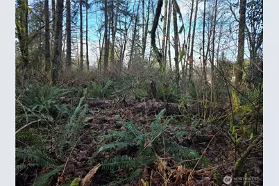 233 Xx State Highway 3 NW, Poulsbo, WA 98370 - Photo 18