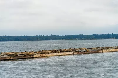 9540 Semiahmoo Parkway #D-37, Blaine, WA 98230 - Photo 18