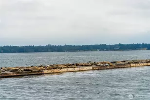 9540 Semiahmoo Pkwy, Blaine, WA 98230 - Photo 18