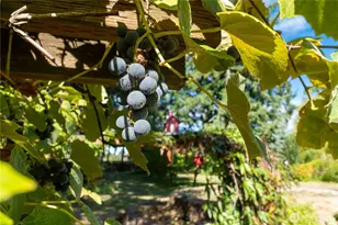 3715 185th St E, Tacoma, WA 98446 - Photo 20