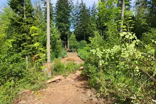 112 Tillicum Rd, Chehalis, WA 98532 - Photo 1