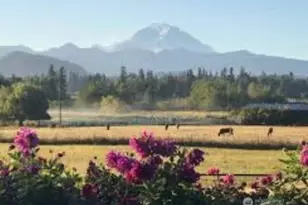 1101 Wells St, Enumclaw, WA 98022 - Photo 38