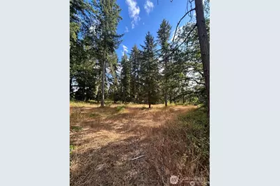 17837 Sargent Road SW, Rochester, WA 98579 - Photo 12