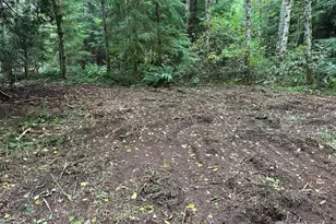 7988 Bethel Burley Rd SE, Port Orchard, WA 98367 - Photo 1