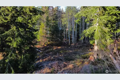 579 Thomas Street, Forks, WA 98331 - Photo 4