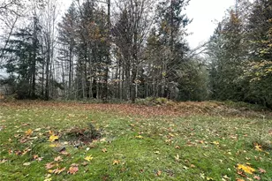 15407 264th St E, Graham, WA 98338 - Photo 20