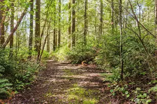 15224 32nd Ave NW, Gig Harbor, WA 98332 - Photo 30