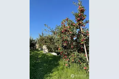 223 Old Riverside Hwy, Omak, WA 98841 - Photo 12