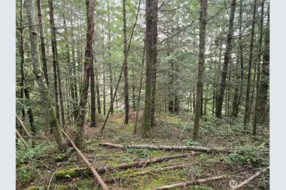 216 Xx Bond Road NE, Poulsbo, WA 98370 - Photo 18