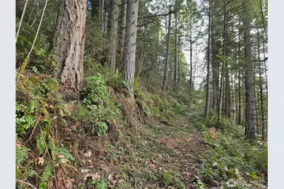 216 Xx Bond Road NE, Poulsbo, WA 98370 - Photo 10