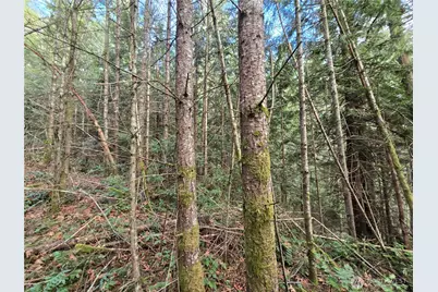 216 Xx Bond Road NE, Poulsbo, WA 98370 - Photo 14