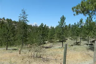 198 B Antwyne Ln, Tonasket, WA 98855 - Photo 4