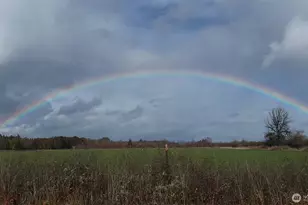 570 Drews Prairie Rd, Winlock, WA 98596 - Photo 6