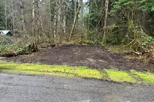 31319 555th St E, Ashford, WA 98304 - Photo 1