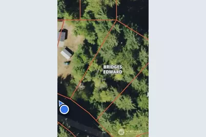 31319 555th Street E, Ashford, WA 98304 - Photo 8