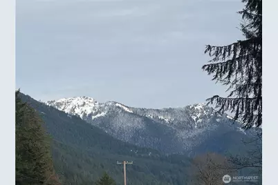 31319 555th Street E, Ashford, WA 98304 - Photo 14