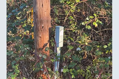 31319 555th Street E, Ashford, WA 98304 - Photo 4