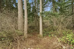 22305 SE 244th Pl, Maple Valley, WA 98038 - Photo 36