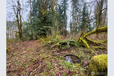 134 Tilton Drive, Morton, WA 98356 - Photo 1
