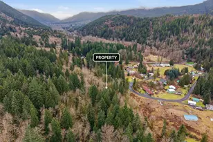 134 Tilton Dr, Morton, WA 98356 - Photo 1