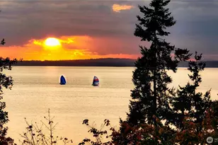 317 N State, Bellingham, WA 98225 - Photo 40