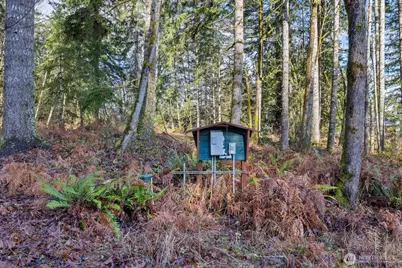 60 SE Mable Taylor Lane, Shelton, WA 98584 - Photo 4